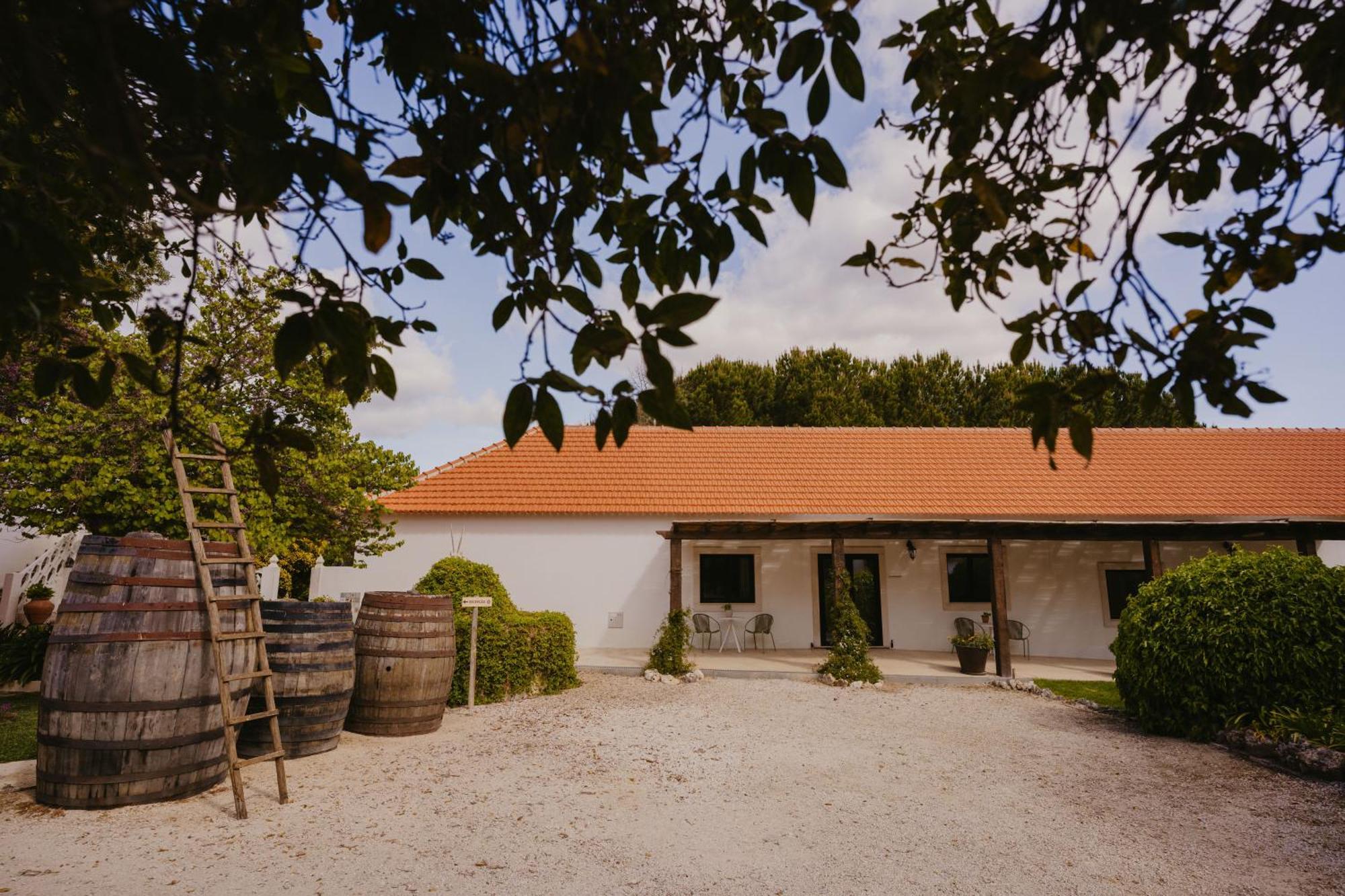 ホテル Quinta Carvalhas - The Green Farm Casevel エクステリア 写真