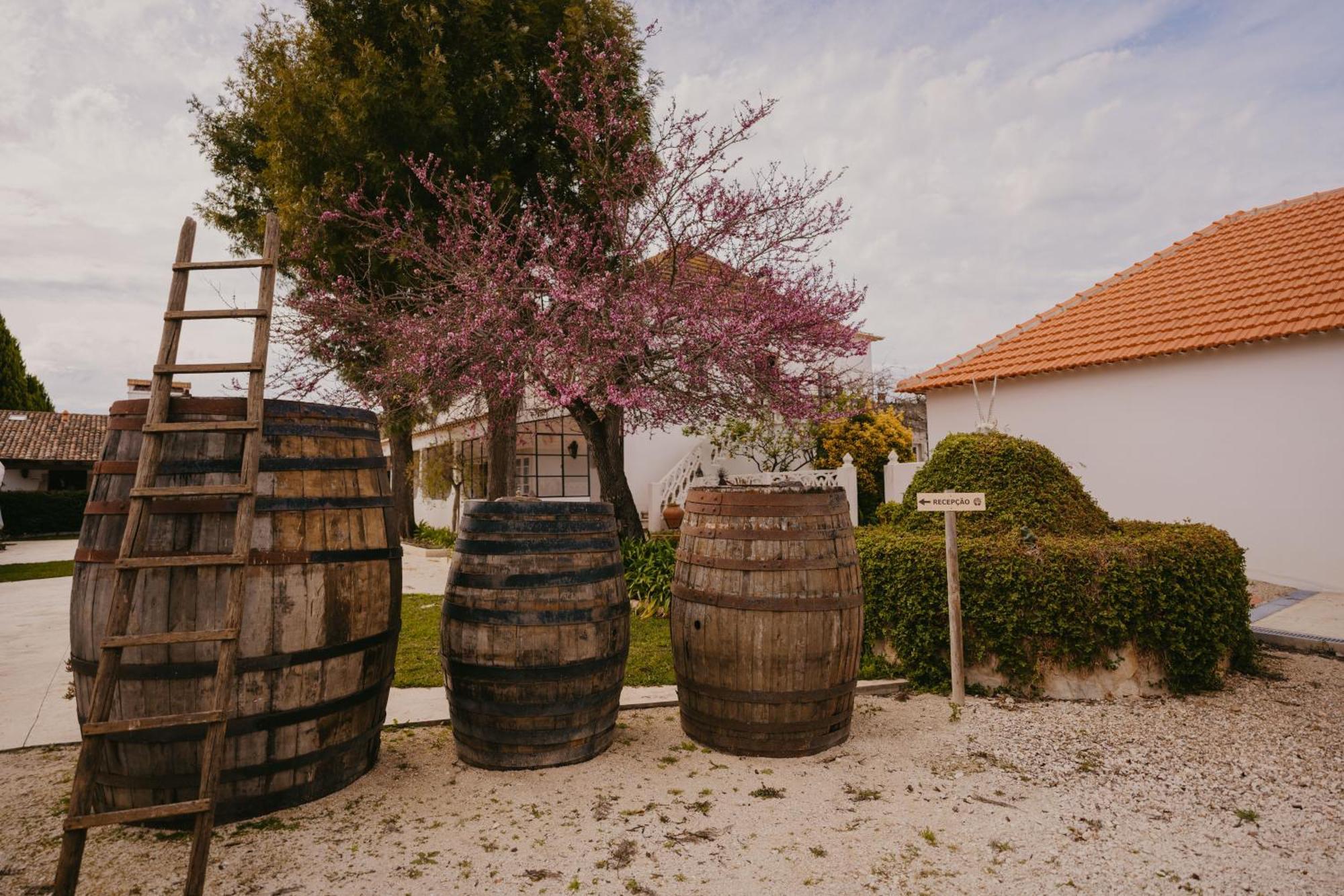 ホテル Quinta Carvalhas - The Green Farm Casevel エクステリア 写真
