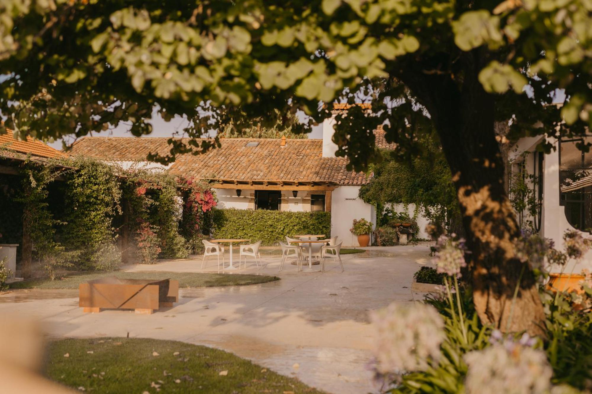 ホテル Quinta Carvalhas - The Green Farm Casevel エクステリア 写真
