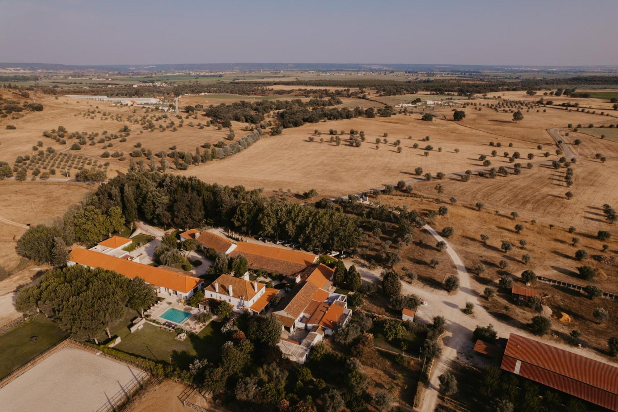 ホテル Quinta Carvalhas - The Green Farm Casevel エクステリア 写真